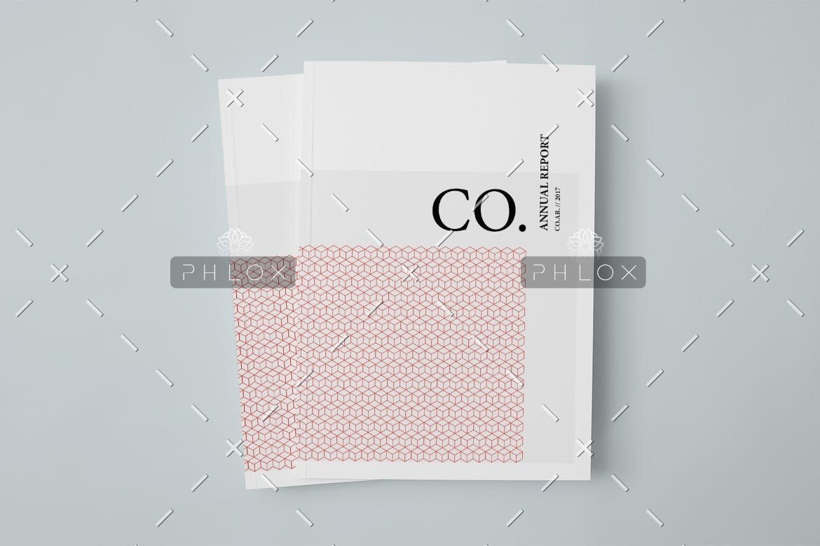 demo-attachment-216-CO.-Annual-Report-1